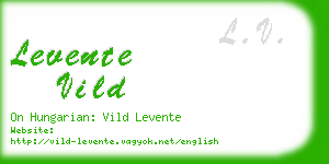 levente vild business card